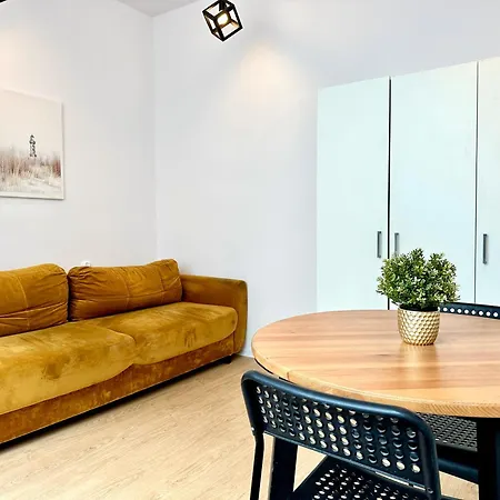 Vinylovnia דירה *