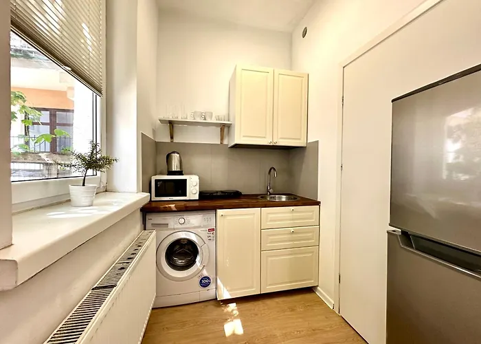 Vinylovnia דירה *